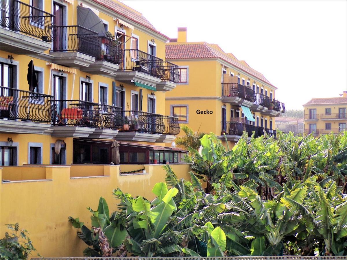 Gecko Apartment Tazacorte Exterior photo